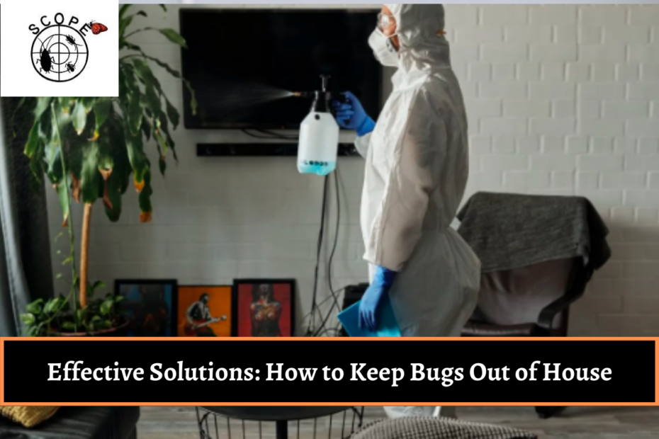 Effective Solutions How to Keep Bugs Out of House